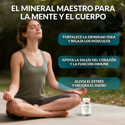 Mente en Paz