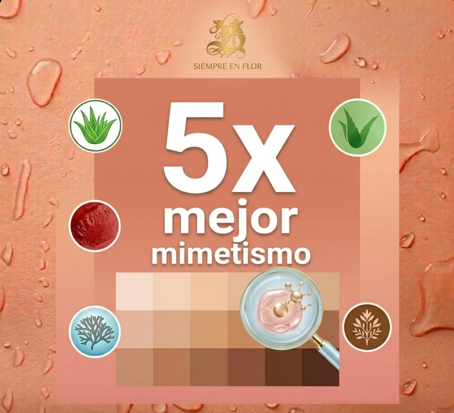 Elvora máximo rendimiento™